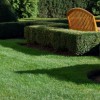 Brownsboro Lawn Care