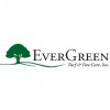 Evergreen Turf & Tree Care