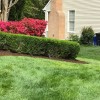 Greener Lawn Maintenance