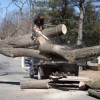 Roy's Tree Service