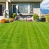 Local Properties Lawn Care