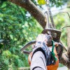 EE Tree Service