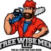 Tree Wise Men LLC