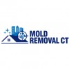 Mold Removal CT