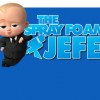 The Spray Foam Jefe