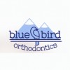 Bluebird Orthodontics