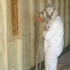 Badger Coatings & Insulation