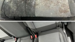 Car Mold Removal