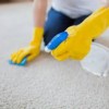 Quality Clean Carpet & Upholstery