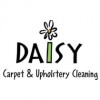 Daisy Carpet Cleaning