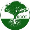 Root Cleaning Solutions