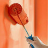 Viola Services Painting & Cleaning