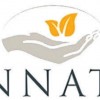 Innate Chiropratic Health