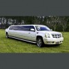 Actionville Limousines