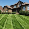 Lawns & Stripes Lawn Care Services