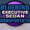 Bluebird Executive Sedan