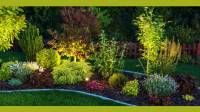 Landscape Lighting