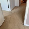 Marlene's Green Carpet Cleaning