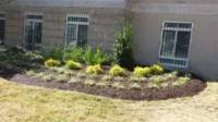 Landscaping & Lawn Care