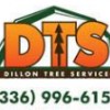 Dillon Lawn & Tree Service