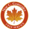 Noe C Gonzalez Tree Service