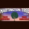 Hartington Tree LLC