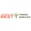 Long Island Best Tree Service