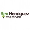 Henriquez Tree Work & Landscaping