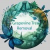 Grapevine Tree Removal