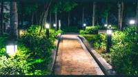 Landscape Lighting