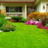 Charlie's Lawn & Landscaping