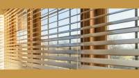 Window Blinds