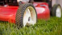 Lawn Mower Repair