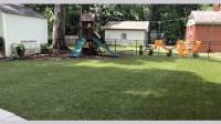 Playground Grass