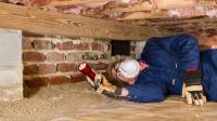 Termite Inspection