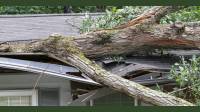 Storm Damage Insurance Claims