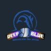 Deep Blue Brazilian Jiu Jitsu