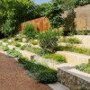 Campbell Landscape Architecture