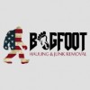 Bigfoot Hauling & Junk Removal