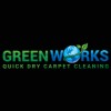 Greenworks Carpet Cleaning