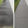 Pure Pressure Washing